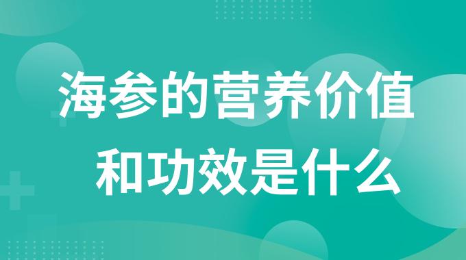 海参的营养价值和功效是什么？吃海参对人的身体有什么好处