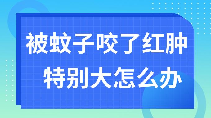 被蚊子咬了红肿特别大怎么办？缓解被蚊子咬了红肿的小妙招