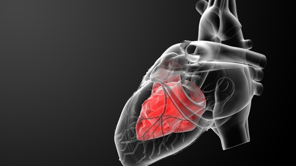 治疗心肌炎最好药物有哪些  治疗心肌炎的方法是什么