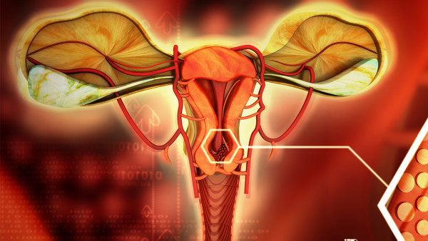 孕期子宫肌瘤应该看什么科 孕妇子宫肌瘤挂产科还是妇科