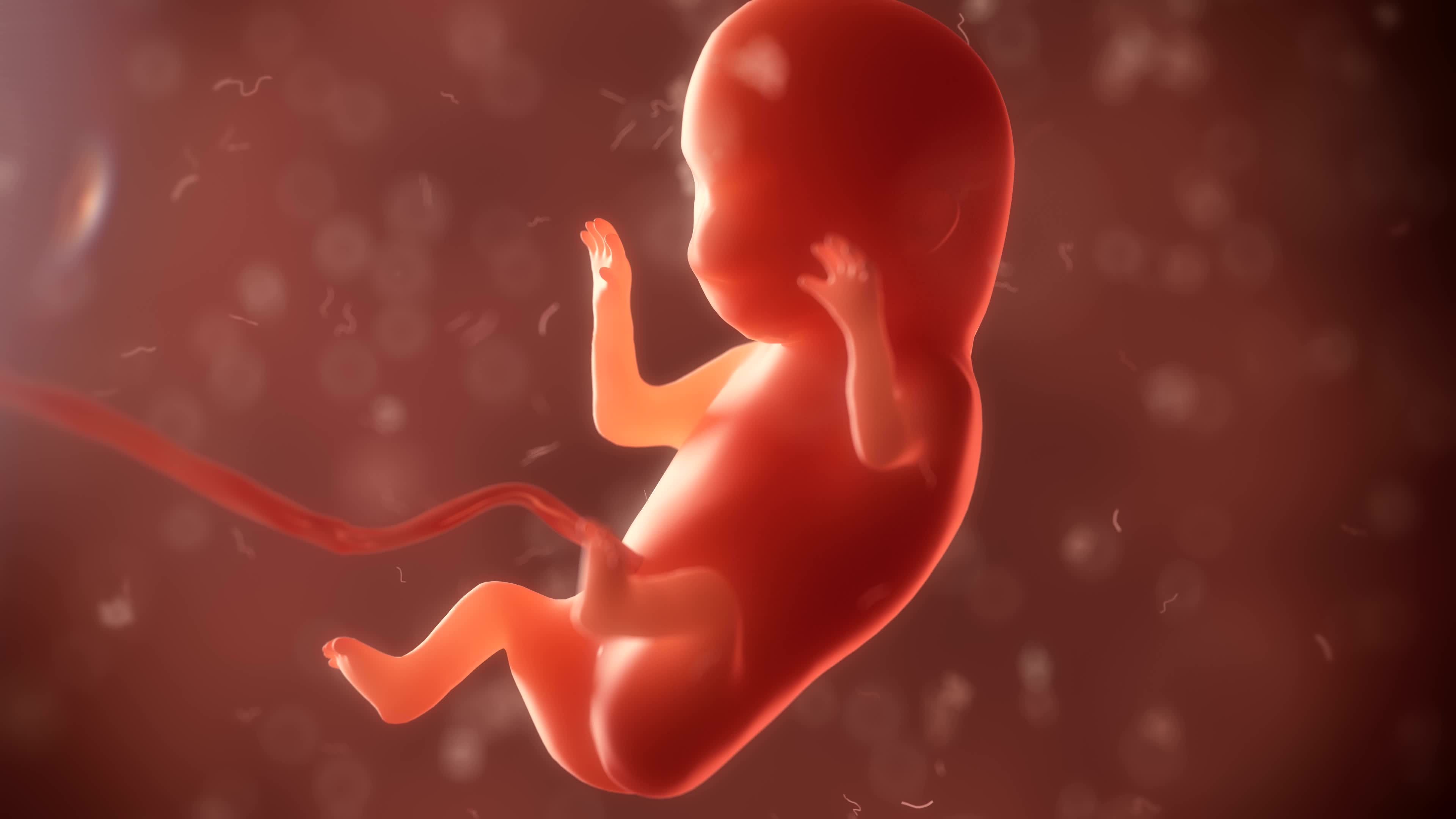 孕晚期吃什么胎儿出生没有黄疸