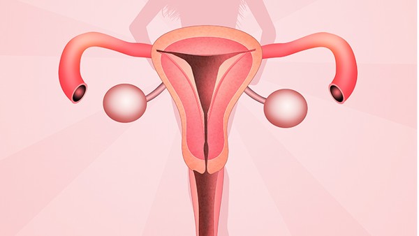 子宫肌瘤为什么会便秘？子宫肌瘤便秘怎么治疗？